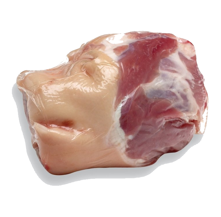 Gammon Shank